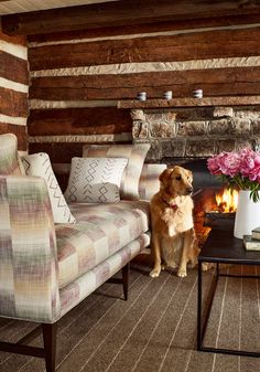 a dog sitting in front of a fire place with pillows on it's sides