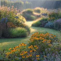 the sun shines brightly in this garden with flowers and grasses on either side of the path