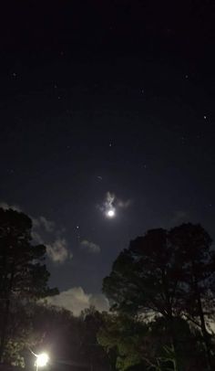 the night sky is lit up with bright lights and trees in the foreground,