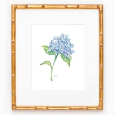 a watercolor painting of a blue hydrangea flower with green leaves in a gold frame