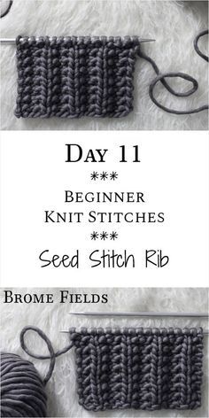 two crochet stitches with the text, day 11 begin knit stitches seed stitch rib