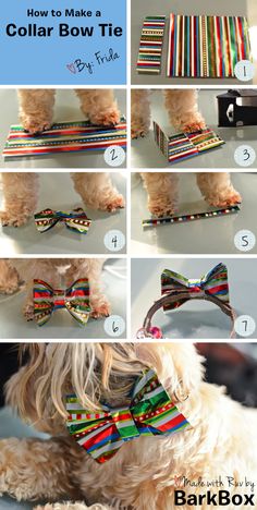 how to make a collar bow tie for your dog by barkbox com, via barkbox com