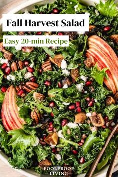 Make room on your holiday table for this Fall Harvest Salad! Ready in 20 minutes, this festive green salad is packed with all your favorite fall flavors. Harvest Salad Dressing, Harvest Salad Recipes, Kale Apple Salad, Fall Harvest Salad, Maple Balsamic Dressing, Tahini Dressing Recipe, Quinoa Dishes, Salads For A Crowd, Maple Balsamic