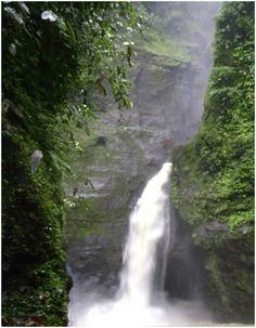 the waterfall is surrounded by lush green trees