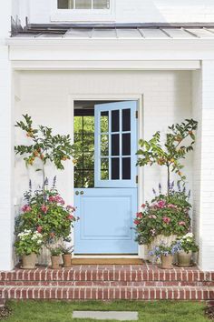 a blue front door surrounded by potted plants