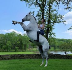 a woman riding on the back of a white horse in a field next to a tree