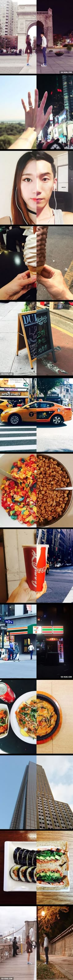 multiple images of different types of food on display