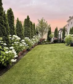 a lush green yard with white flowers and trees