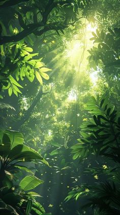 the sun shines through the trees in the jungle