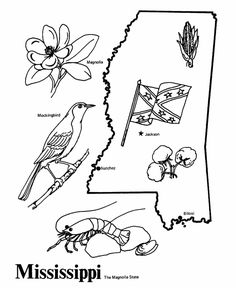 mississippi state map with birds and flowers in black and white coloring book page for kids