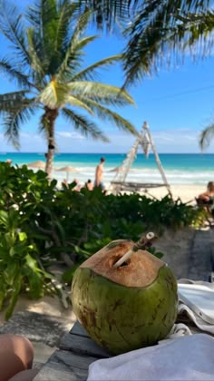 a green coconut sitting on top of a wooden table next to the ocean and palm trees