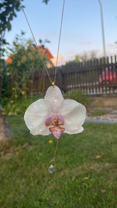 a white flower hanging from a chain in the middle of a yard with a fence behind it