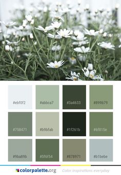 the color palette is green, white and gray with lots of daisies in it