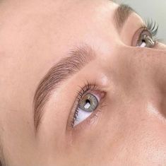 Уроки макияжа Brow Lamination Natural Look, 2023 Brows, Natural Brow Lamination, Eyebrow Wax And Tint, Brow Wax And Tint, Tinted Brows, Round Eyebrows, Brows Shaping