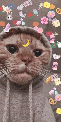 the cat is wearing a hoodie with many stickers on it's face