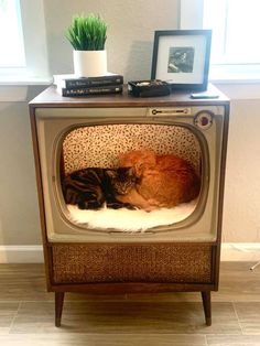 two cats sleeping on top of an old tv with a potted plant next to it