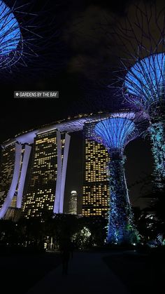 gardens by the bay at night with blue lights on trees and skyscrapers in the background