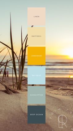 This mood board presents a refreshing yellow and blue nautical color palette, featuring a rich mix of dark teal, soft teal, sky blue, vibrant rich yellow, lemon yellow, and soft beige. The blend of warm yellows evokes sunshine and energy, while the calming blues and teals add a serene, coastal feel. Soft beige ties it all together with a subtle, natural touch. Ideal for small business branding or weddings, this palette offers a perfect balance of vibrancy and elegance. Soothing Colour Palette, Summer Camp Color Palette, Sunrise Colour Palette, Tropical Beach Wedding Color Palette, Aquatic Color Palette, Health Color Palette, Yellow Wedding Palette, Colour Palette Summer, Sunrise Color Palette