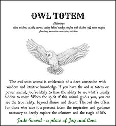 Barred Owl Spiritual Meaning, White Owl Spiritual Meaning, Owl Meaning Spiritual, Celtic Zodiac