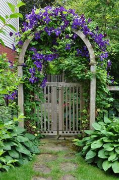 a wooden gate surrounded by purple flowers and greenery