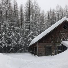 an old barn in the middle of a forest covered in snow and surrounded by tall pine trees