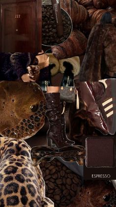 a collage of different types of shoes and furs