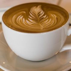 a cappuccino on a saucer with a leaf design in the foam