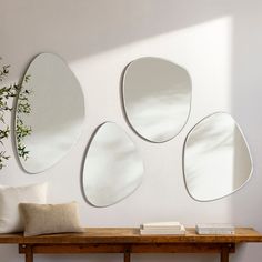 three oval mirrors mounted on the wall above a wooden table with a plant in it