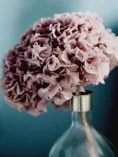 a close up of a flower in a vase on a table with a blue background