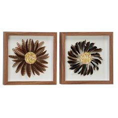 two framed art pieces with flowers in them on a white background, one is brown and the other is yellow