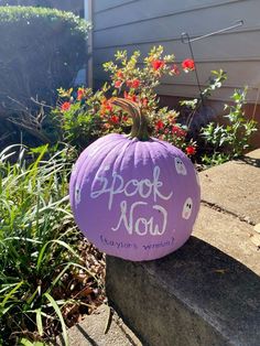 a purple pumpkin sitting on top of a cement block in front of some plants and flowers