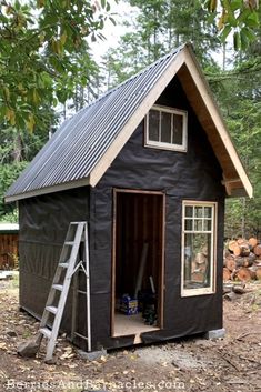 a small black shed with a ladder to the door and windows on it's side