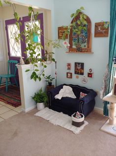 a living room with a blue couch and potted plants on the wall next to it