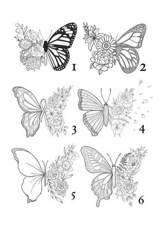 butterflies and flowers are drawn in black ink