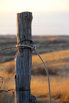 an old wooden fence post with a rope attached to it in the middle of a field