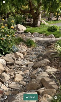 a small stream running through a lush green park