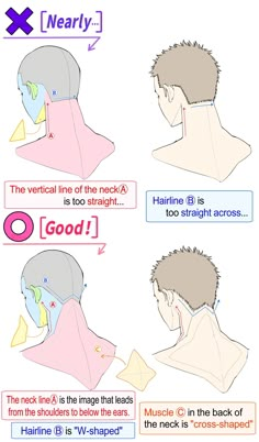 the different types of haircuts are shown in this graphic diagram, which shows how to