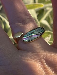 Abalone She'll Ring