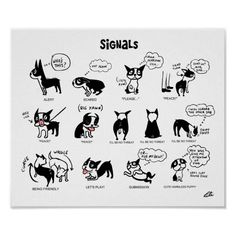 a white poster with black and white illustrations on it that says,'signals '