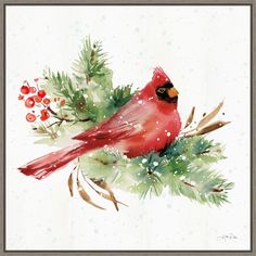 a watercolor painting of a cardinal sitting on a branch with berries and pine cones