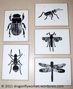 four pictures of insects on white paper with black and white inks in the middle