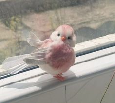 a pink and white bird sitting on top of a window sill