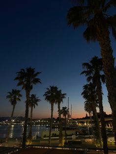 palm trees sunset Spain Aesthetics Malaga, Malaga Aesthetic, Spain At Night, Spanish Aesthetic, European Summer Aesthetic, Spain Tour, Malaga Spain