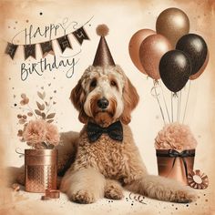 a happy birthday card with a dog wearing a party hat and bow tie sitting next to presents