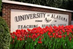 the sign for university of alabama is surrounded by red flowers and green grass in front of it