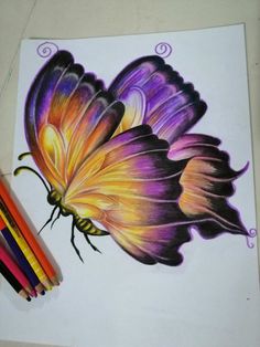 a drawing of a butterfly with colored pencils next to it