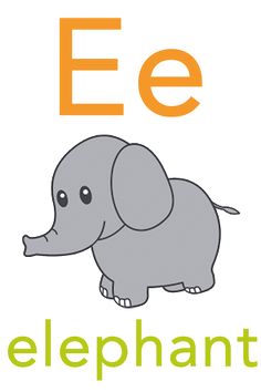 an elephant is standing in front of the letter e