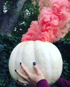 Halloween Gender Reveal Party, Pumpkin Gender Reveal, Gender Reveal Party Ideas, Reveal Party Ideas, Creative Gender Reveals, Pregnancy Gender, Pregnancy Gender Reveal, Gender Reveal Ideas