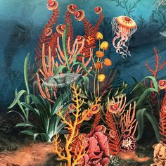 an underwater scene with corals, seaweed and jellyfish