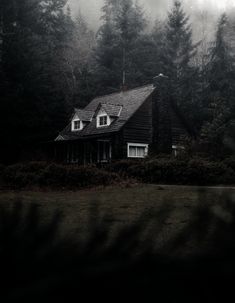 a house in the middle of some trees and bushes on a foggy day with dark clouds